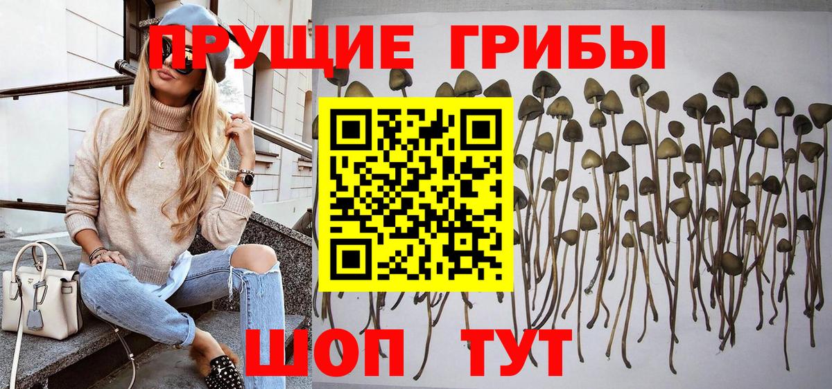 Галлюциногенные грибы Cubensis  Вход с VPN  Псилоцибиновые грибы Psilocybe  Коломна 