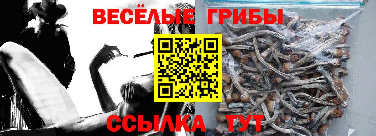 Псилоцибиновые грибы Psilocybe Коломна
